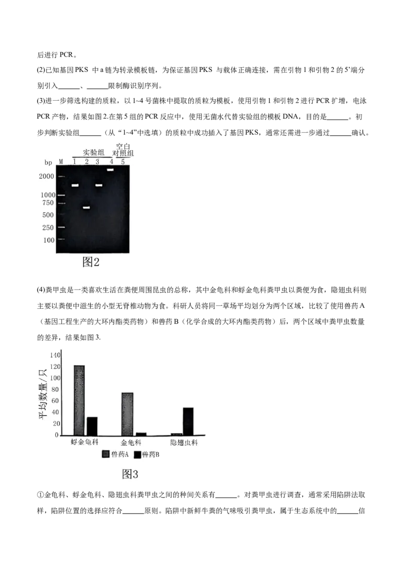 江苏省南通市海安市2026届高三上学期期初学业质量监测生物试卷（含答案）_2025年9月_250911江苏省南通市海安市2025-2026学年高三上学期开学（全科）