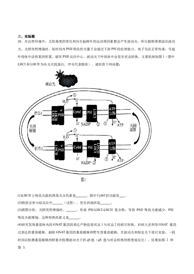 江苏省南通市海安市2026届高三上学期期初学业质量监测生物试卷（含答案）_2025年9月_250911江苏省南通市海安市2025-2026学年高三上学期开学（全科）