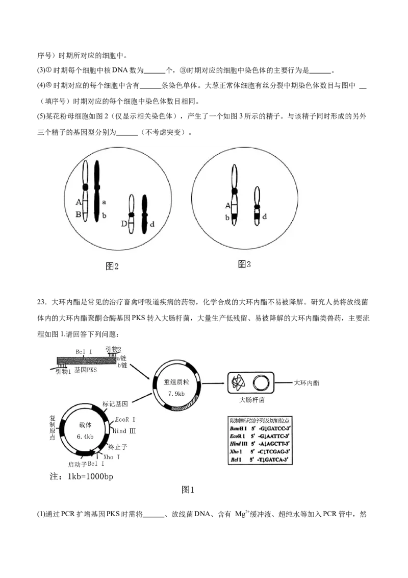 江苏省南通市海安市2026届高三上学期期初学业质量监测生物试卷（含答案）_2025年9月_250911江苏省南通市海安市2025-2026学年高三上学期开学（全科）