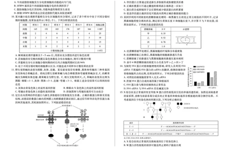 生物学(广西专版)天一大联考&middot;湖南省、广西省2025-2026学年高三上学期阶段性检测（二）_2025年9月