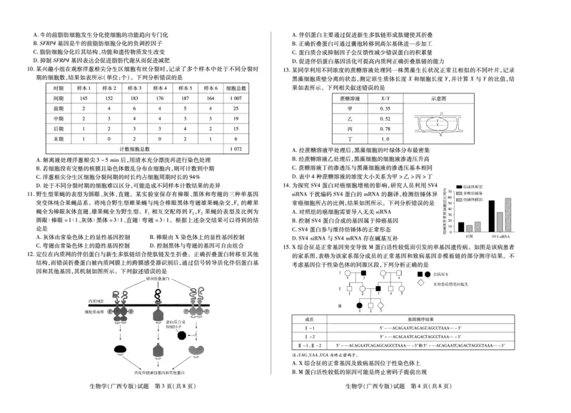 生物学(广西专版)天一大联考&middot;湖南省、广西省2025-2026学年高三上学期阶段性检测（二）_2025年9月