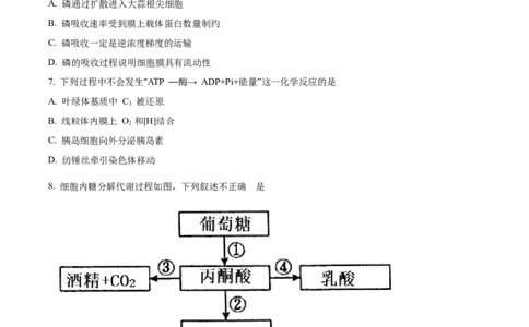 精品解析：北京市西城区北京市育才学校2025-2026学年高三上学期9月月考生物试题（原卷版）_2025年10月_251003北京市西城区育才学校2025-2026学年高三上学期9月月考