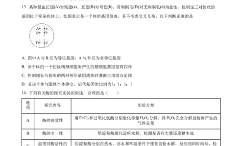 精品解析：北京市西城区北京市育才学校2025-2026学年高三上学期9月月考生物试题（原卷版）_2025年10月_251003北京市西城区育才学校2025-2026学年高三上学期9月月考