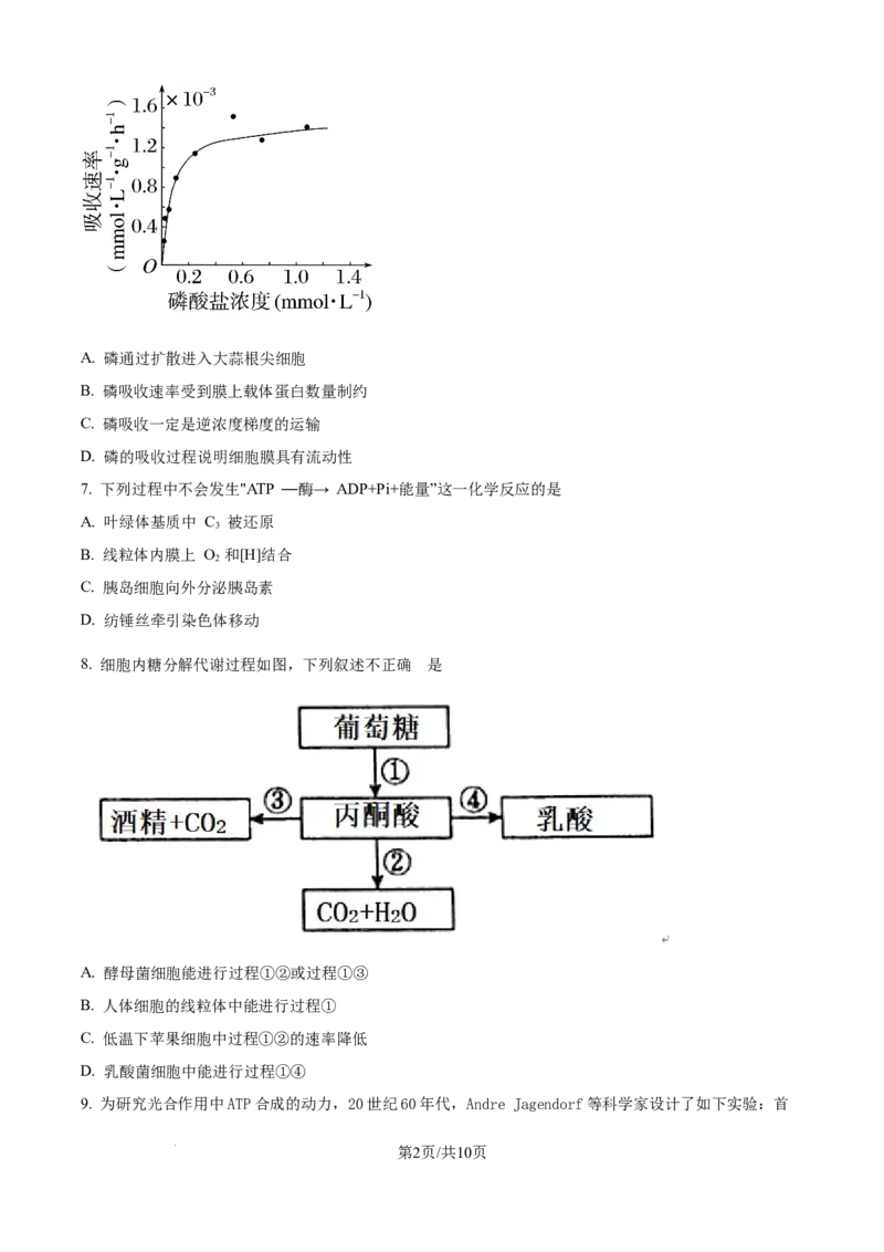 精品解析：北京市西城区北京市育才学校2025-2026学年高三上学期9月月考生物试题（原卷版）_2025年10月_251003北京市西城区育才学校2025-2026学年高三上学期9月月考