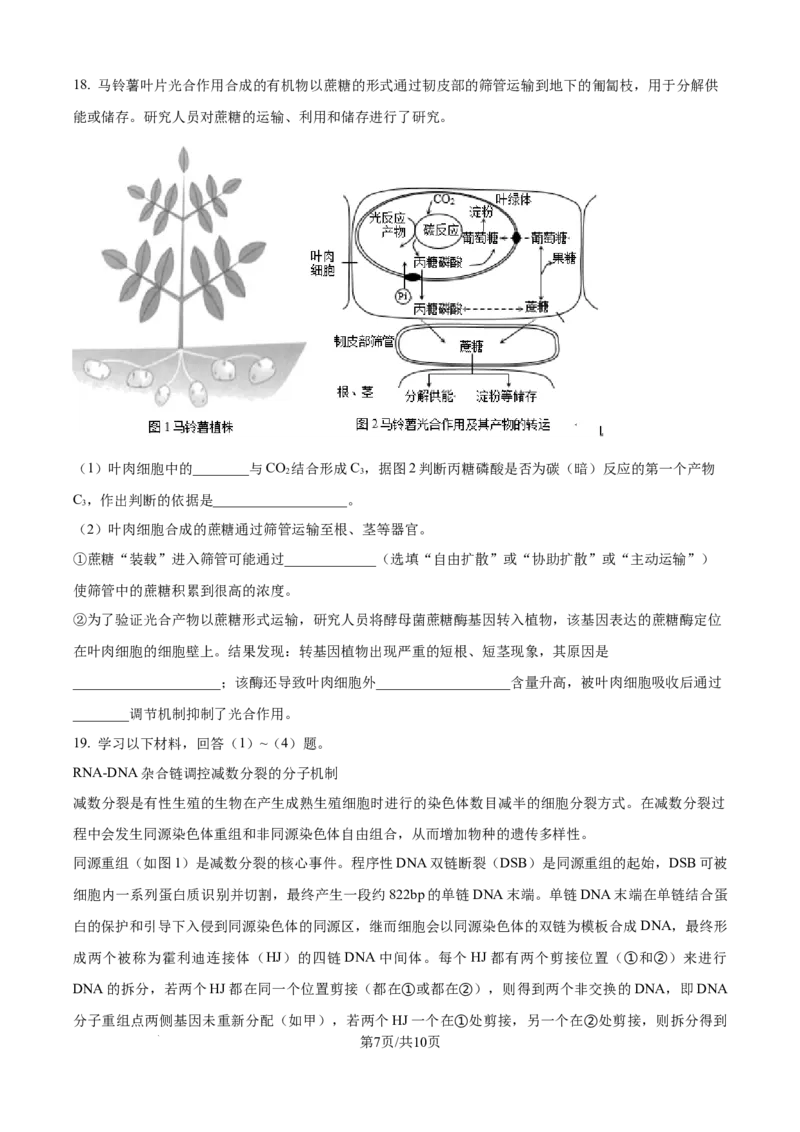 精品解析：北京市西城区北京市育才学校2025-2026学年高三上学期9月月考生物试题（原卷版）_2025年10月_251003北京市西城区育才学校2025-2026学年高三上学期9月月考