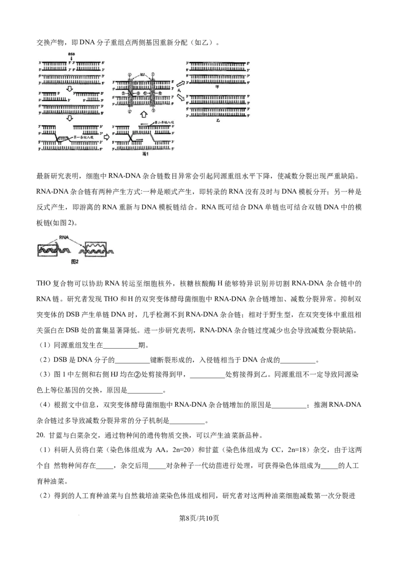 精品解析：北京市西城区北京市育才学校2025-2026学年高三上学期9月月考生物试题（原卷版）_2025年10月_251003北京市西城区育才学校2025-2026学年高三上学期9月月考