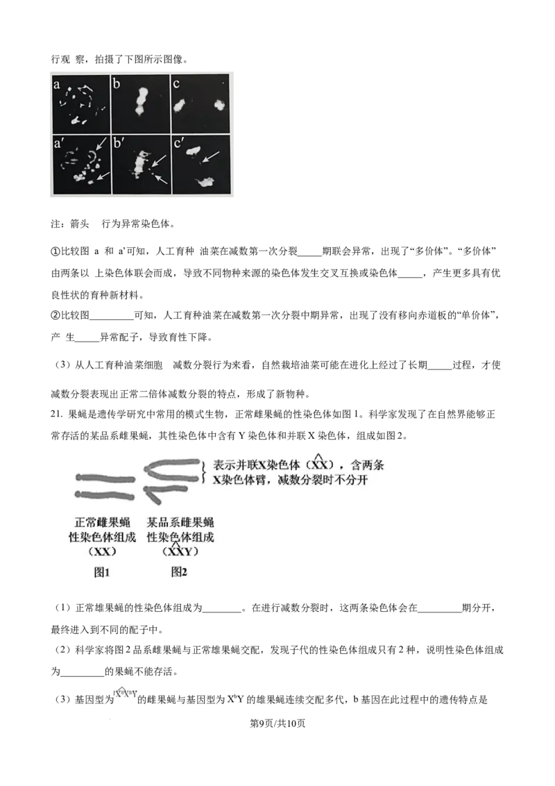 精品解析：北京市西城区北京市育才学校2025-2026学年高三上学期9月月考生物试题（原卷版）_2025年10月_251003北京市西城区育才学校2025-2026学年高三上学期9月月考