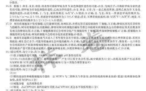 湖北省2025届九师联盟核心模拟卷（下）（样卷）生物答案_2025年4月_2504022025届九师联盟核心模拟卷（下）（一）（样卷）（全科）