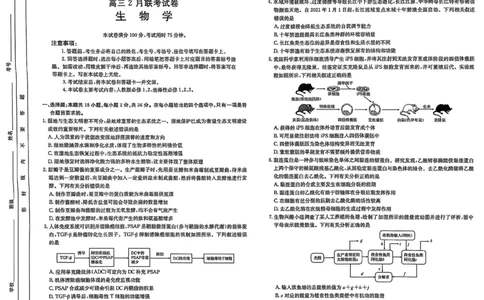 生物_2025年2月_2502182025届湖北省鄂东新领先协作体高三下学期2月调考（金太阳340C）（全科）_2025届湖北省鄂东新领先协作体高三下学期2月调考（二模）生物