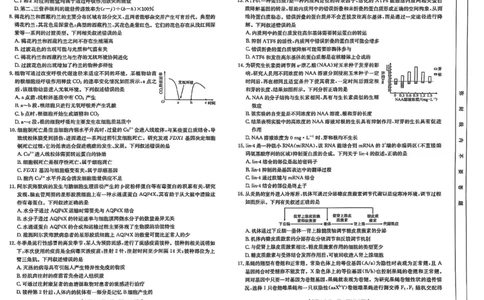 生物_2025年2月_2502182025届湖北省鄂东新领先协作体高三下学期2月调考（金太阳340C）（全科）_2025届湖北省鄂东新领先协作体高三下学期2月调考（二模）生物