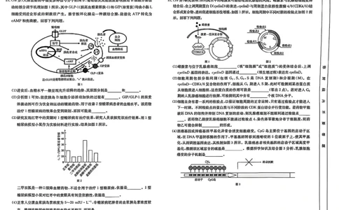 生物_2025年2月_2502182025届湖北省鄂东新领先协作体高三下学期2月调考（金太阳340C）（全科）_2025届湖北省鄂东新领先协作体高三下学期2月调考（二模）生物