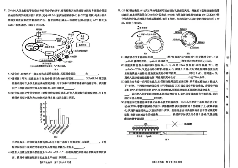 生物_2025年2月_2502182025届湖北省鄂东新领先协作体高三下学期2月调考（金太阳340C）（全科）_2025届湖北省鄂东新领先协作体高三下学期2月调考（二模）生物