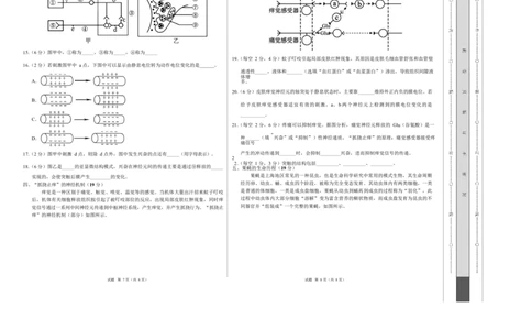 高二生物上学期第一次月考（上海专用）（考试版A3）_1多考区联考试卷_2510142025-2026学年高二生物上学期第一次月考试题