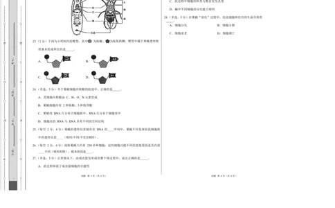 高二生物上学期第一次月考（上海专用）（考试版A3）_1多考区联考试卷_2510142025-2026学年高二生物上学期第一次月考试题