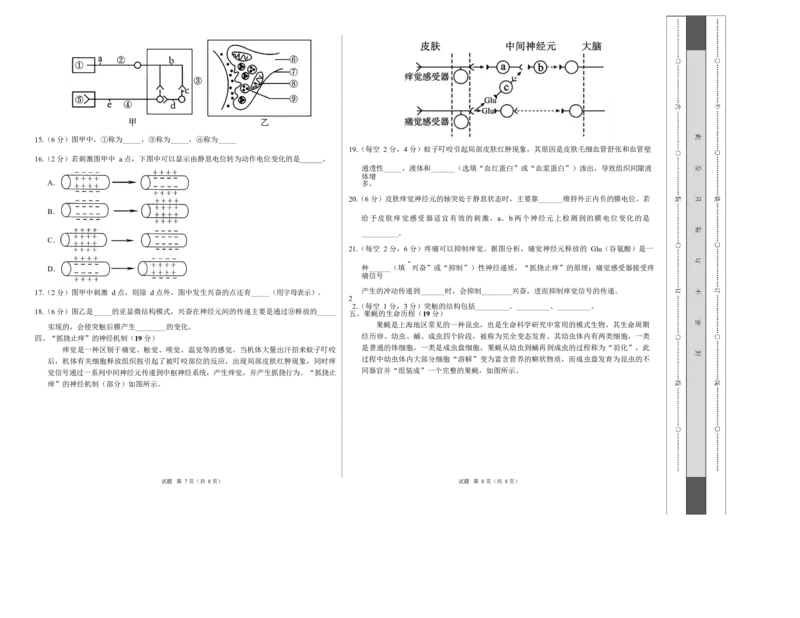 高二生物上学期第一次月考（上海专用）（考试版A3）_1多考区联考试卷_2510142025-2026学年高二生物上学期第一次月考试题