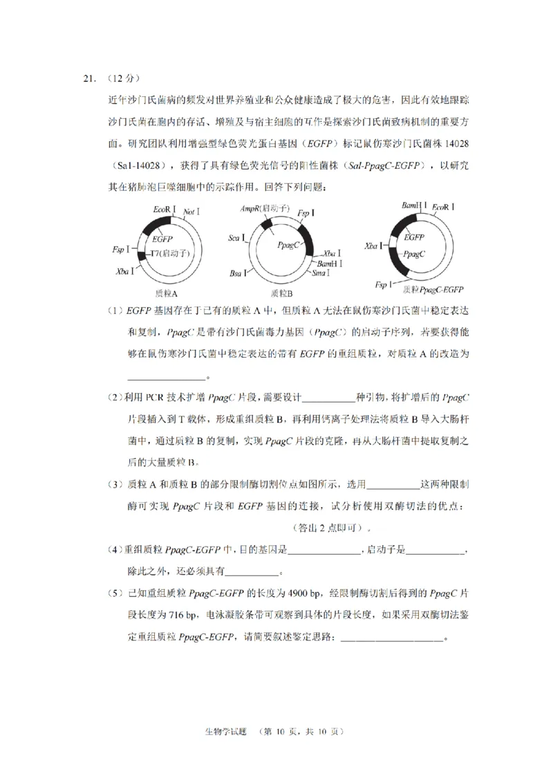 生物（CJ）__2025年1月_250112湖南省长沙市长郡中学2024-2025学年高三上学期1月期末考试_湖南省长沙市长郡中学2024-2025学年高三上学期期末适应性考试生物试题