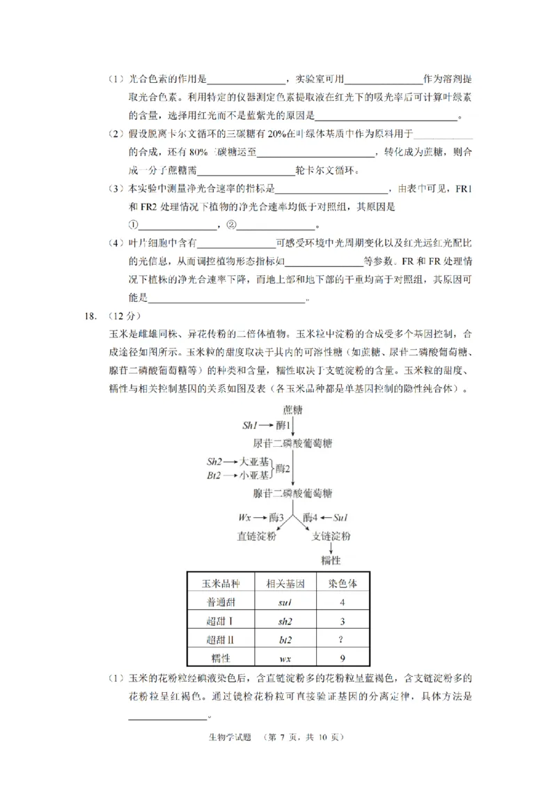 生物（CJ）__2025年1月_250112湖南省长沙市长郡中学2024-2025学年高三上学期1月期末考试_湖南省长沙市长郡中学2024-2025学年高三上学期期末适应性考试生物试题
