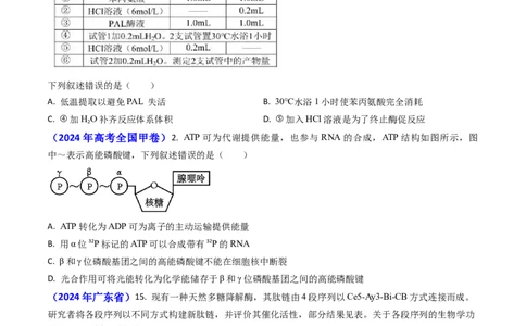 专题04ATP和酶2024年高考真题和模拟题生物分类汇编(学生卷）_近10年高考真题汇编（必刷）_十年（2014-2024）高考生物真题分项汇编（全国通用）