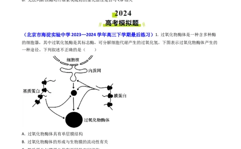 专题04ATP和酶2024年高考真题和模拟题生物分类汇编(学生卷）_近10年高考真题汇编（必刷）_十年（2014-2024）高考生物真题分项汇编（全国通用）