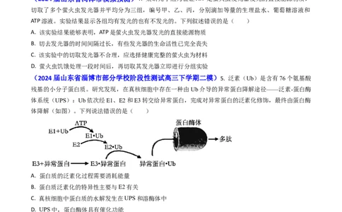 专题04ATP和酶2024年高考真题和模拟题生物分类汇编(学生卷）_近10年高考真题汇编（必刷）_十年（2014-2024）高考生物真题分项汇编（全国通用）