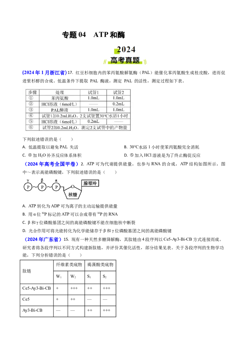 专题04ATP和酶2024年高考真题和模拟题生物分类汇编(学生卷）_近10年高考真题汇编（必刷）_十年（2014-2024）高考生物真题分项汇编（全国通用）