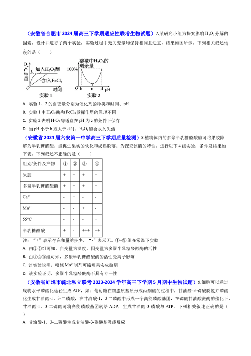 专题04ATP和酶2024年高考真题和模拟题生物分类汇编(学生卷）_近10年高考真题汇编（必刷）_十年（2014-2024）高考生物真题分项汇编（全国通用）
