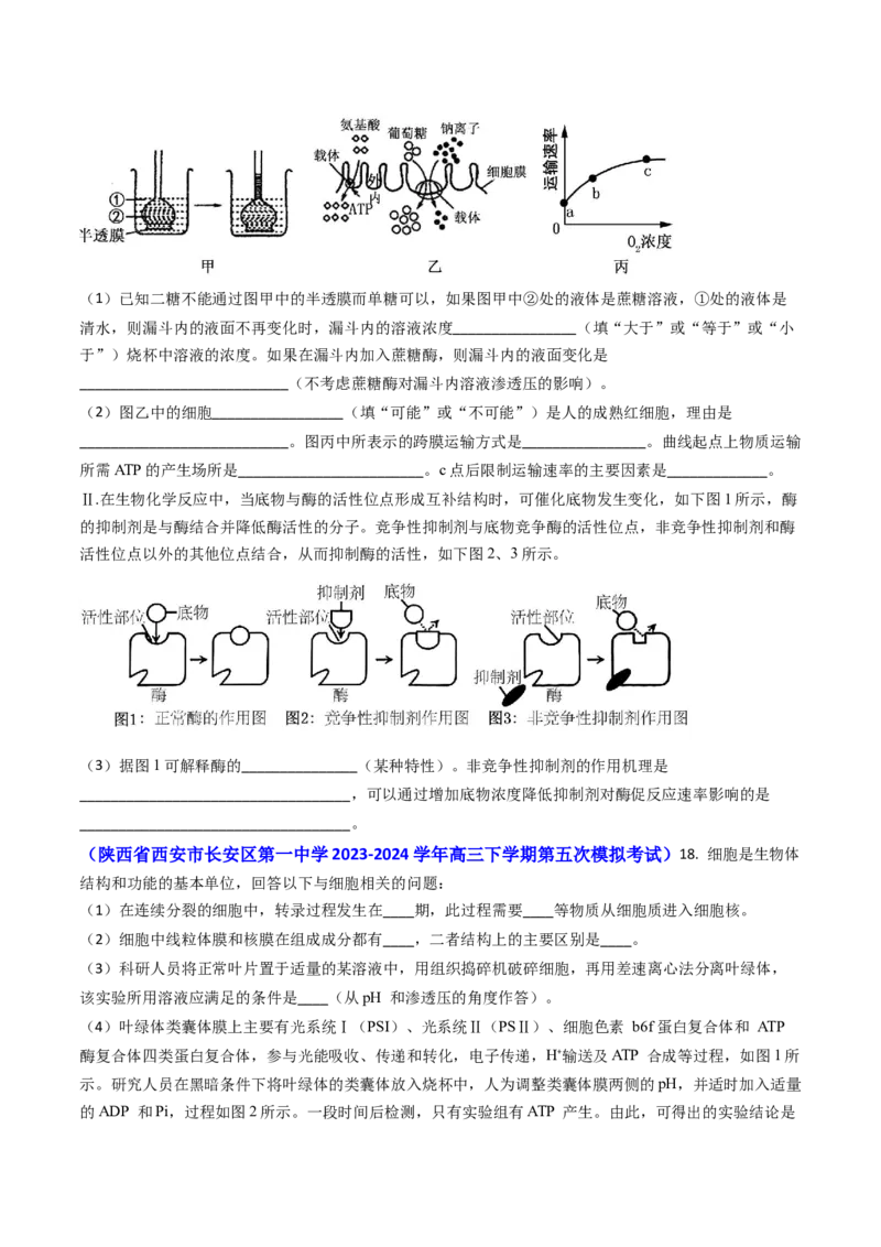 专题04ATP和酶2024年高考真题和模拟题生物分类汇编(学生卷）_近10年高考真题汇编（必刷）_十年（2014-2024）高考生物真题分项汇编（全国通用）