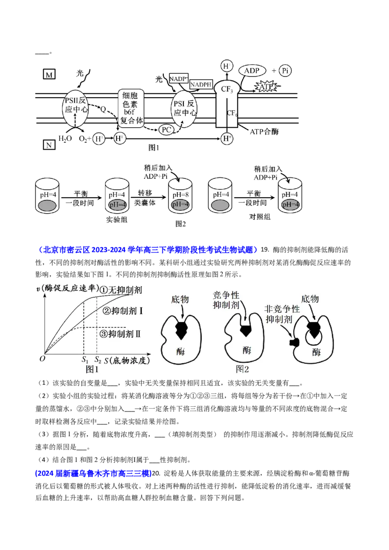 专题04ATP和酶2024年高考真题和模拟题生物分类汇编(学生卷）_近10年高考真题汇编（必刷）_十年（2014-2024）高考生物真题分项汇编（全国通用）