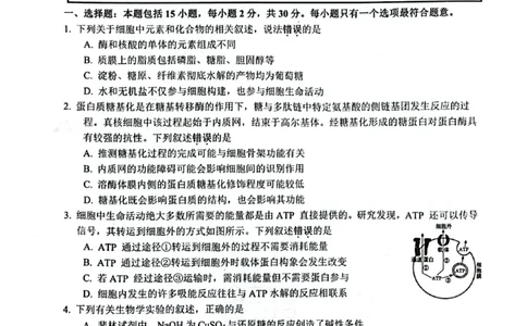 江苏省苏州九校2024-2025学年高三下学期2月联考生物试题_2025年2月_250222江苏省苏州九校2024-2025学年高三下学期2月联考