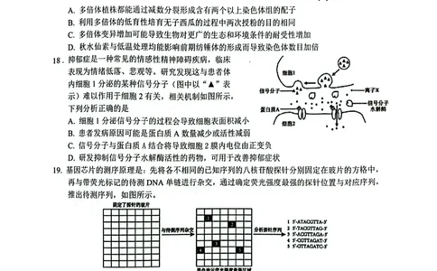江苏省苏州九校2024-2025学年高三下学期2月联考生物试题_2025年2月_250222江苏省苏州九校2024-2025学年高三下学期2月联考