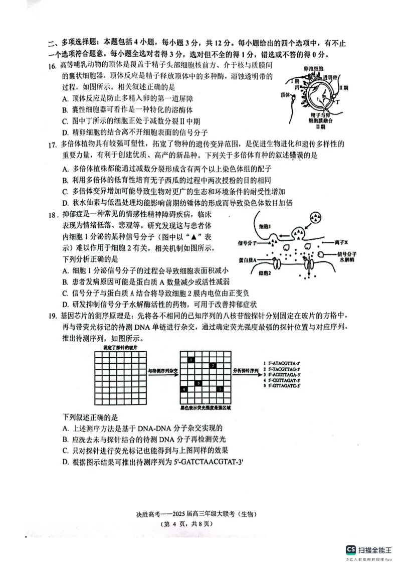 江苏省苏州九校2024-2025学年高三下学期2月联考生物试题_2025年2月_250222江苏省苏州九校2024-2025学年高三下学期2月联考