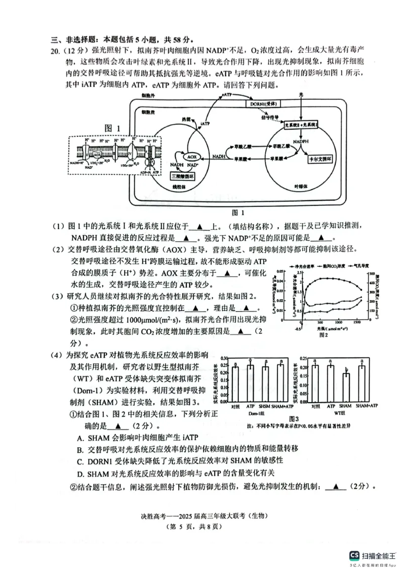 江苏省苏州九校2024-2025学年高三下学期2月联考生物试题_2025年2月_250222江苏省苏州九校2024-2025学年高三下学期2月联考