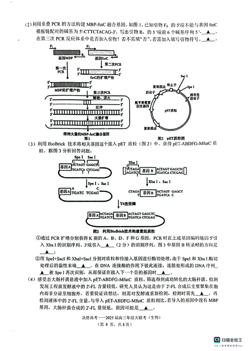 江苏省苏州九校2024-2025学年高三下学期2月联考生物试题_2025年2月_250222江苏省苏州九校2024-2025学年高三下学期2月联考