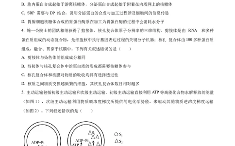 精品解析：重庆市八中2025-2026学年高三上学期入学考试生物试卷（原卷版）_2025年9月_250902重庆市第八中学校2025-2026学年高三上学期入学考试（全科）