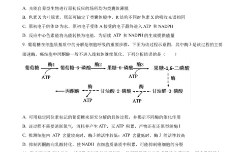 精品解析：重庆市八中2025-2026学年高三上学期入学考试生物试卷（原卷版）_2025年9月_250902重庆市第八中学校2025-2026学年高三上学期入学考试（全科）