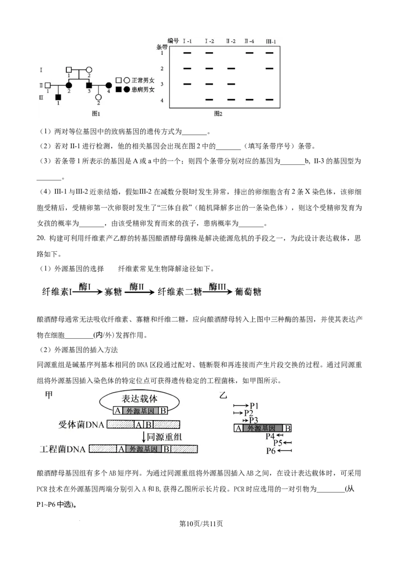 精品解析：重庆市八中2025-2026学年高三上学期入学考试生物试卷（原卷版）_2025年9月_250902重庆市第八中学校2025-2026学年高三上学期入学考试（全科）
