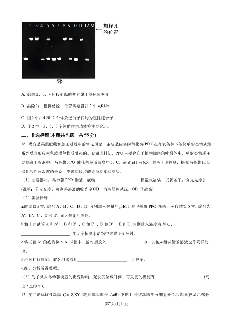 精品解析：重庆市八中2025-2026学年高三上学期入学考试生物试卷（原卷版）_2025年9月_250902重庆市第八中学校2025-2026学年高三上学期入学考试（全科）