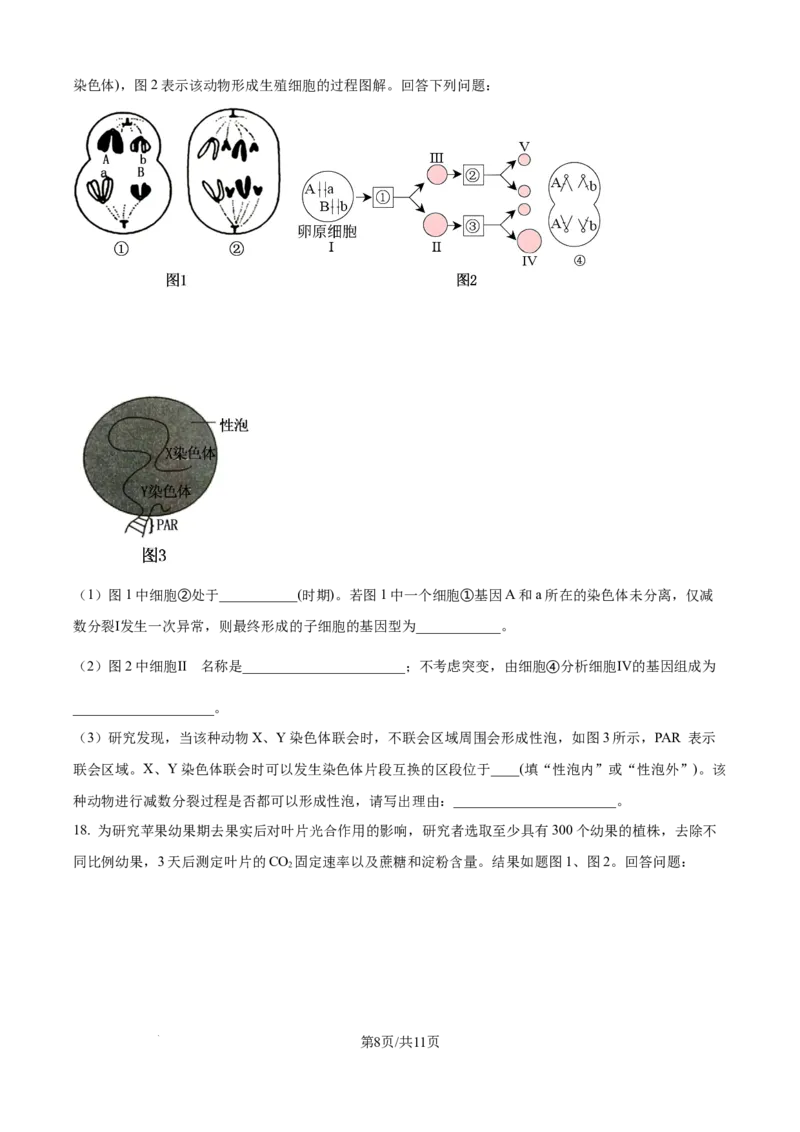 精品解析：重庆市八中2025-2026学年高三上学期入学考试生物试卷（原卷版）_2025年9月_250902重庆市第八中学校2025-2026学年高三上学期入学考试（全科）