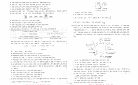 2024年王后雄高考押题预测卷重庆生物_2024高考押题卷_22024王hou雄_16王后雄押题_2024年王后雄高考押题预测卷（重庆专版）