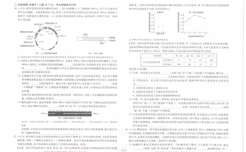 2024年王后雄高考押题预测卷重庆生物_2024高考押题卷_22024王hou雄_16王后雄押题_2024年王后雄高考押题预测卷（重庆专版）