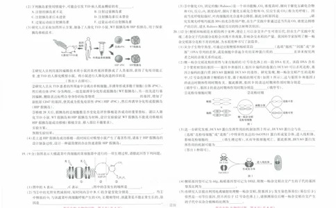 2024年王后雄高考押题预测卷重庆生物_2024高考押题卷_22024王hou雄_16王后雄押题_2024年王后雄高考押题预测卷（重庆专版）