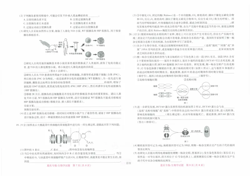 2024年王后雄高考押题预测卷重庆生物_2024高考押题卷_22024王hou雄_16王后雄押题_2024年王后雄高考押题预测卷（重庆专版）