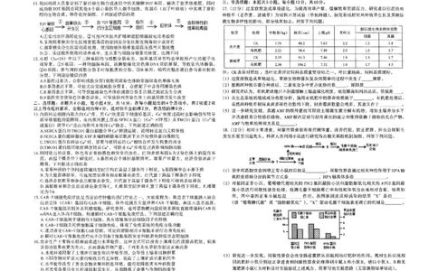江西省南昌市2025届高三第一次模拟测试生物试题_2025年2月_2502222025届江西南昌高三第一次模拟测试（全科）_江西省南昌市2025届高三下学期第一次模拟测试生物试题