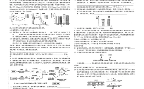 江西省南昌市2025届高三第一次模拟测试生物试题_2025年2月_2502222025届江西南昌高三第一次模拟测试（全科）_江西省南昌市2025届高三下学期第一次模拟测试生物试题