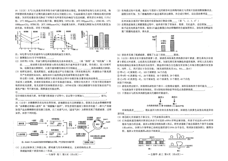 江西省南昌市2025届高三第一次模拟测试生物试题_2025年2月_2502222025届江西南昌高三第一次模拟测试（全科）_江西省南昌市2025届高三下学期第一次模拟测试生物试题