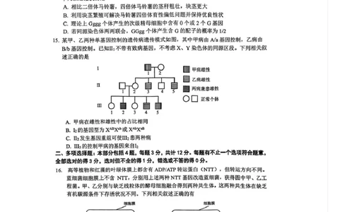 江苏省丹阳市2025-2026学年高三上学期9月质量检测生物试题_2025年10月_251003江苏省镇江市丹阳市2025-2026学年高三上学期9月质量检测（全科）