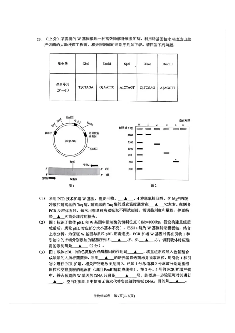 江苏省丹阳市2025-2026学年高三上学期9月质量检测生物试题_2025年10月_251003江苏省镇江市丹阳市2025-2026学年高三上学期9月质量检测（全科）