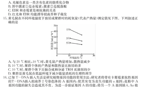 广东省阳西县第一中学2025-2026学年高三上学期9月月考生物试题_2025年9月_250915广东省2025-2026学年高三上学期9月月考（全科）_广东省2025-2026学年高三上学期9月月考生物试题（有答案）