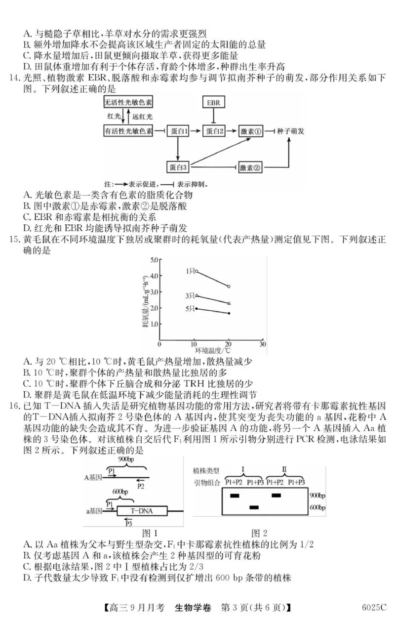 广东省阳西县第一中学2025-2026学年高三上学期9月月考生物试题_2025年9月_250915广东省2025-2026学年高三上学期9月月考（全科）_广东省2025-2026学年高三上学期9月月考生物试题（有答案）