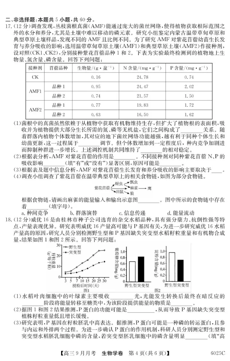 广东省阳西县第一中学2025-2026学年高三上学期9月月考生物试题_2025年9月_250915广东省2025-2026学年高三上学期9月月考（全科）_广东省2025-2026学年高三上学期9月月考生物试题（有答案）